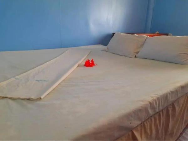 Mana Lagoon Backpackers Bagian luar foto